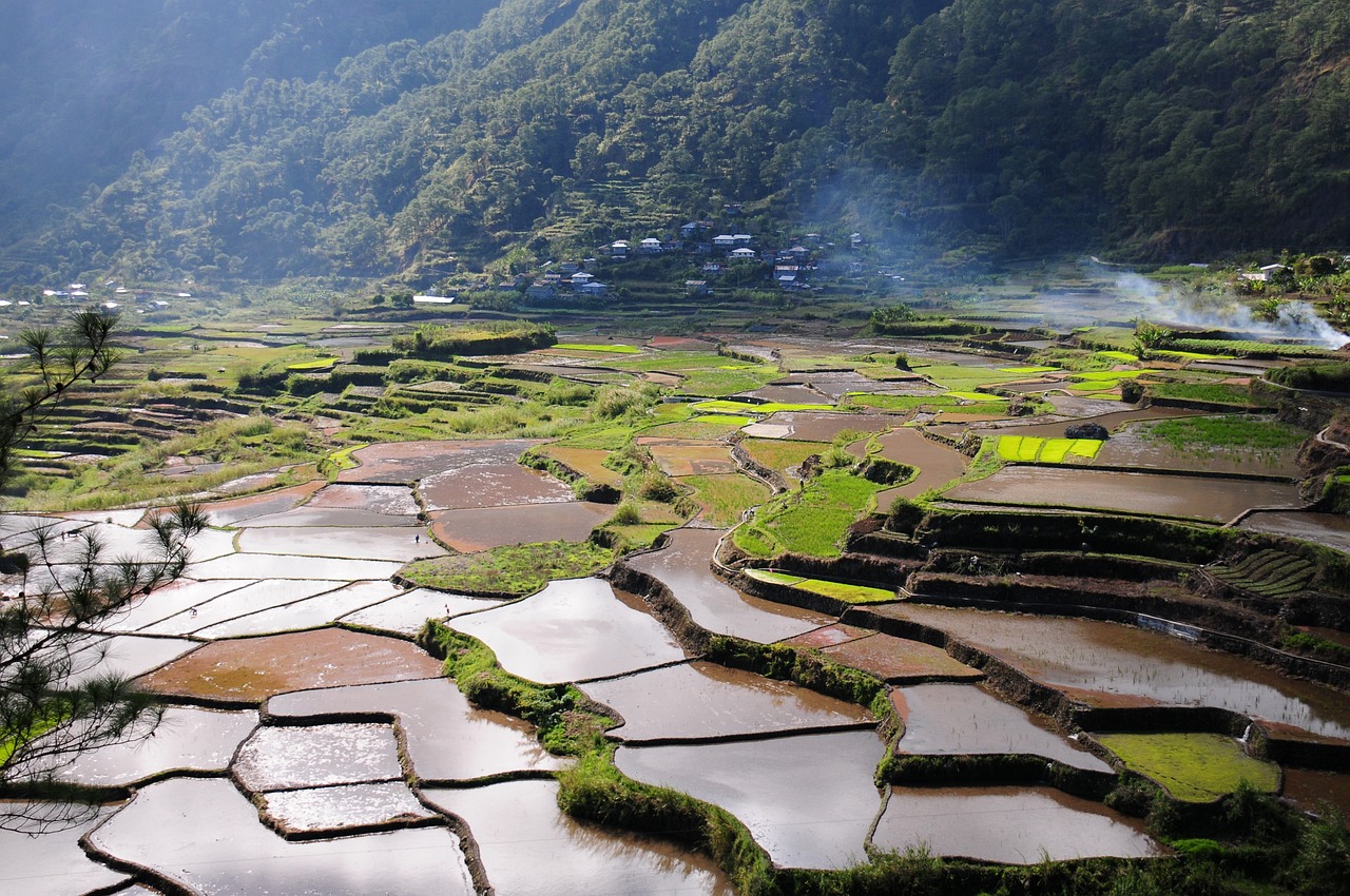 The Role of Field Studies in Effective Conservation Planning